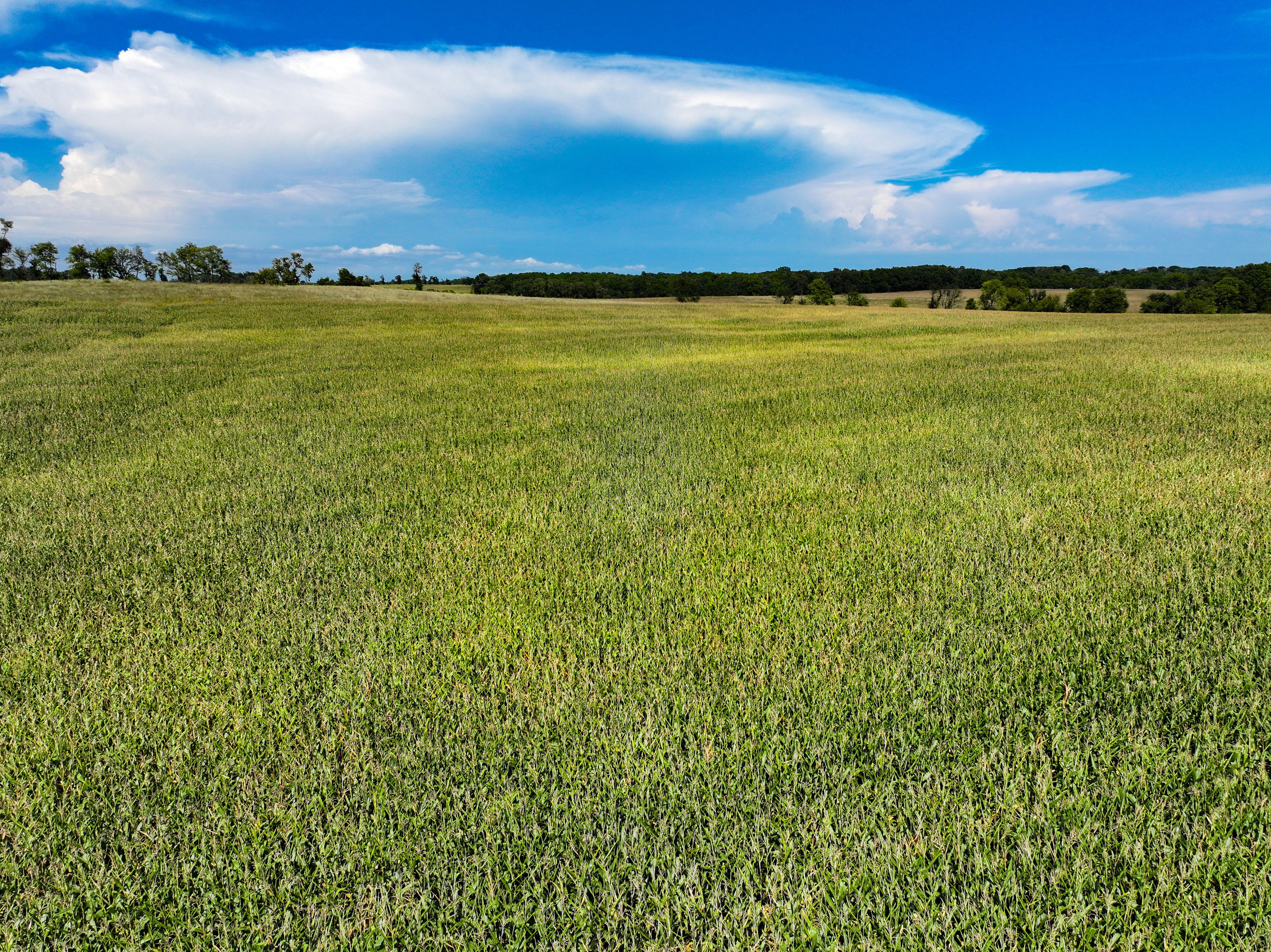 Listing Photo: 13_Delaware Co Iowa Land For Sale